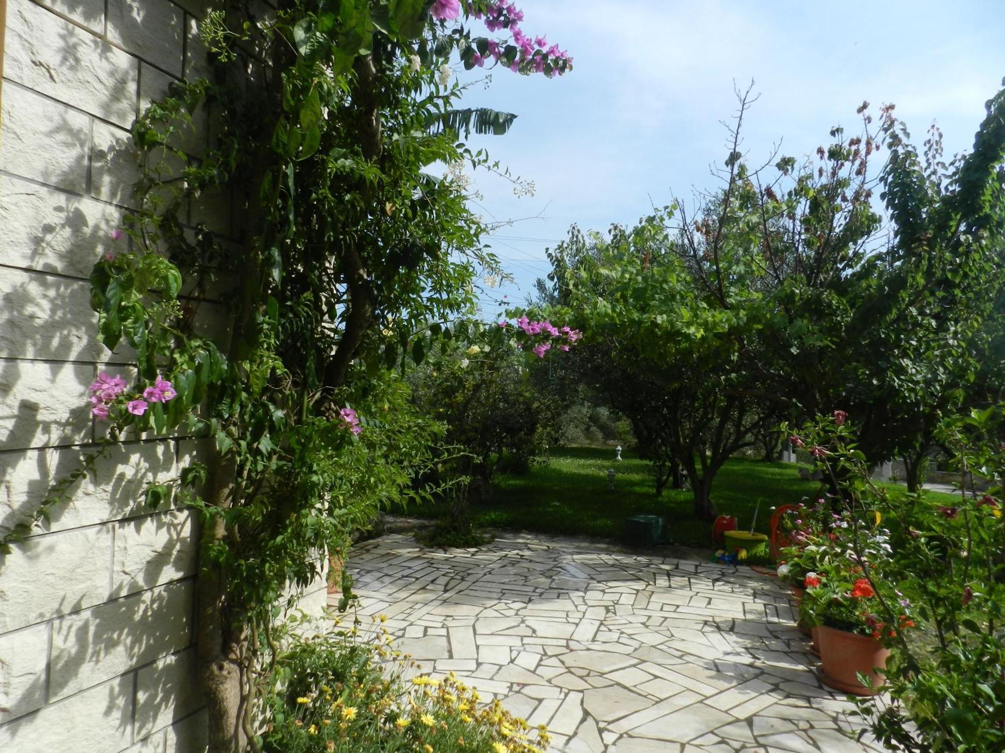 Apartman Lea Orebic